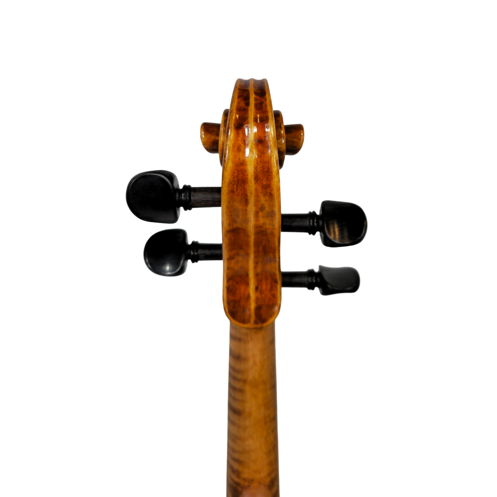 Jarek_Koscielny_Violin_Scroll_Back.png