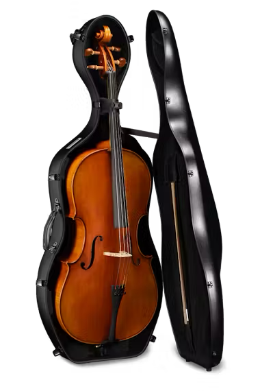 Eastman_CACL13_ABS_Pebble_Finish_Cello_Case_Cello_Inside.png