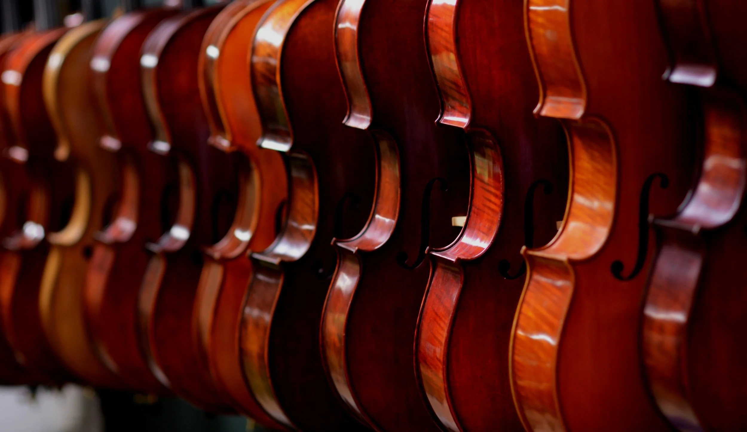 Blackerby Violin Shop Austin's Original Violin Shop