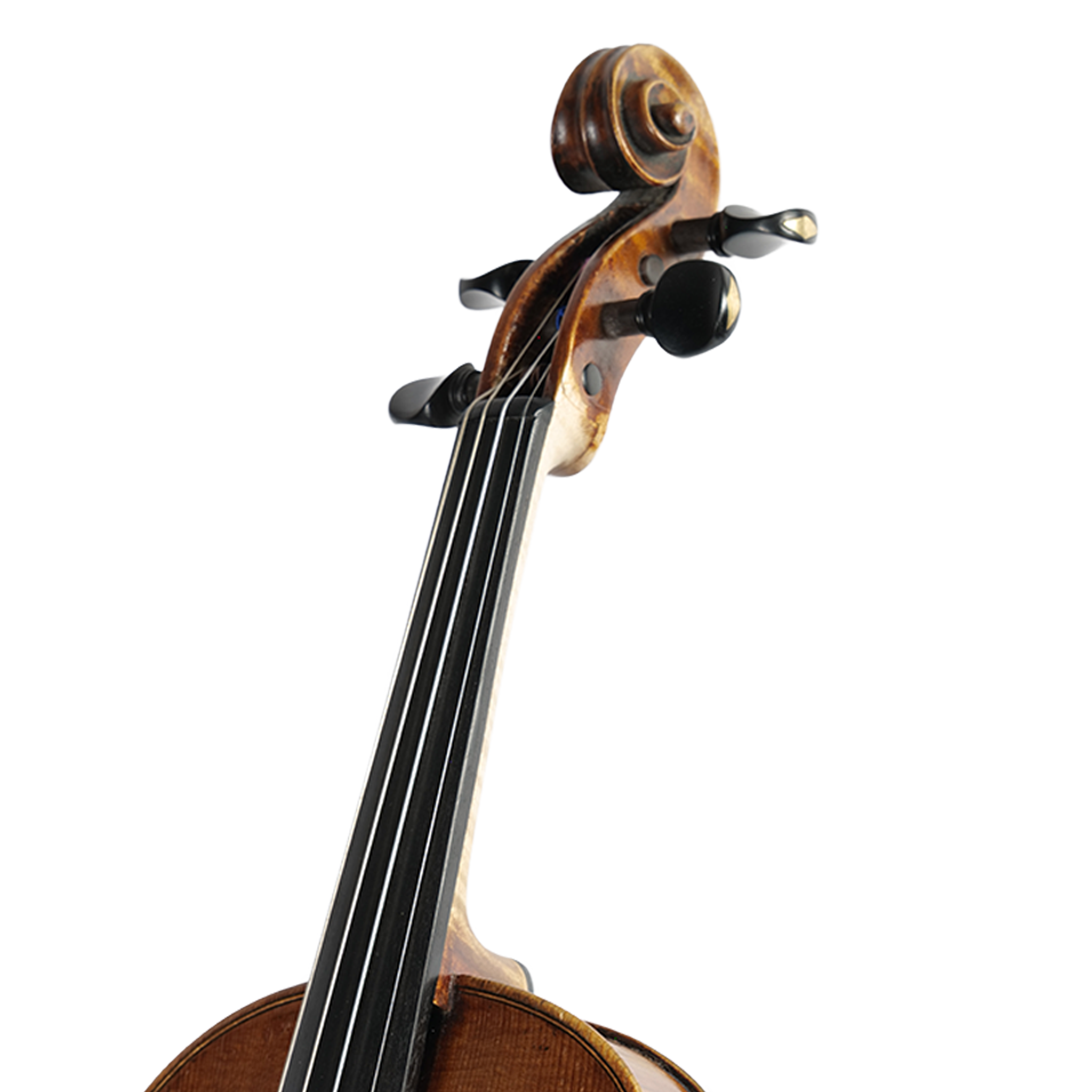 Pressenda_Violin_Scroll.png