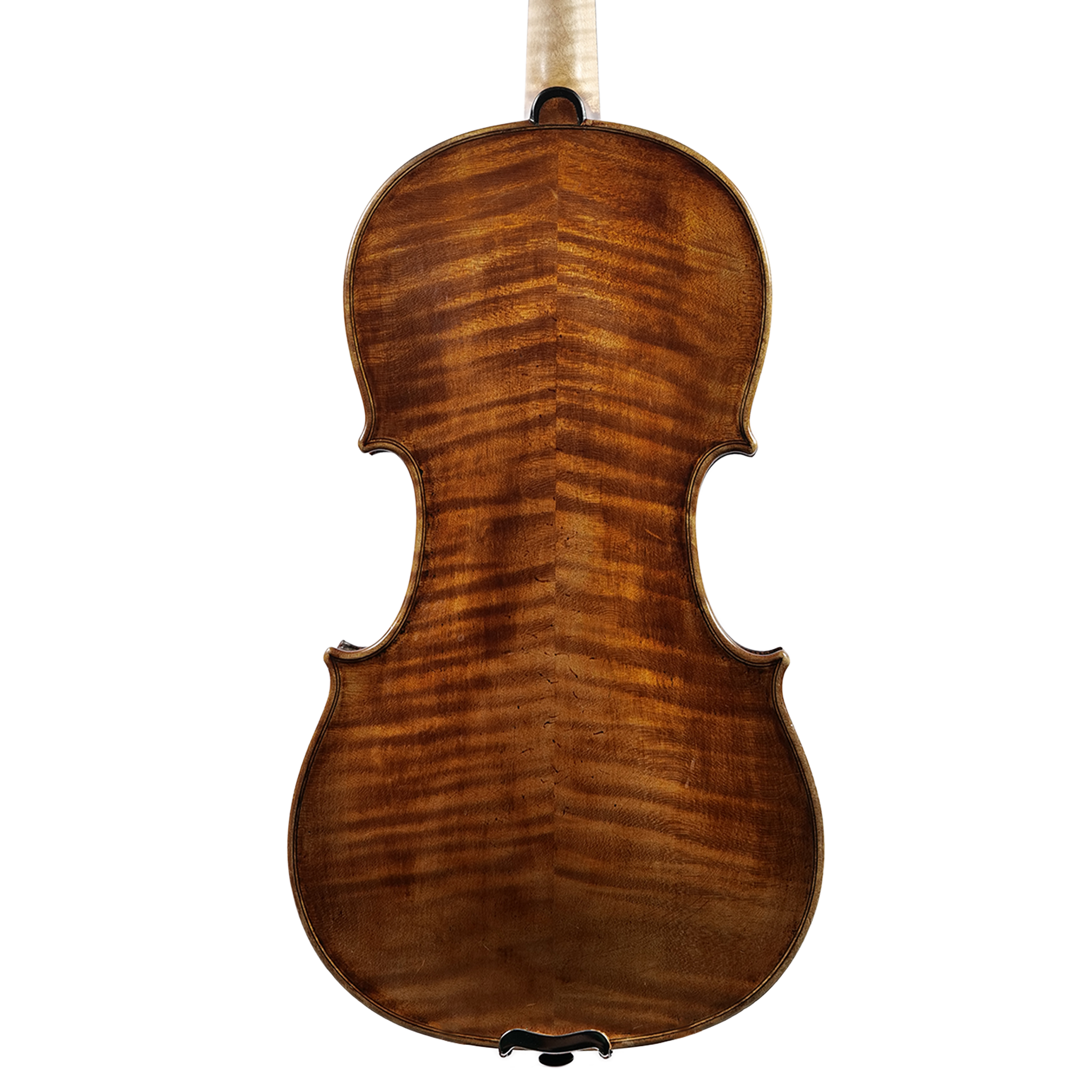 Pressenda_Violin_Back.png