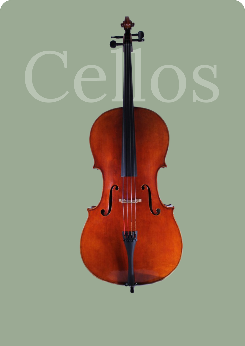 Blackerby Violin Shop Austin Texas's Original String Shop