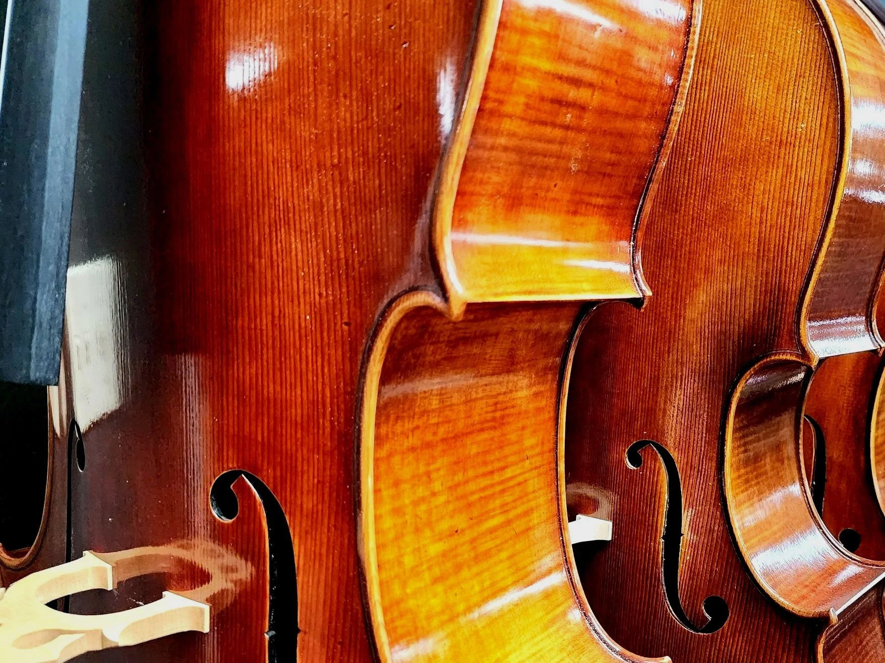 Blackerby Violin Shop Austin's Original Violin Shop