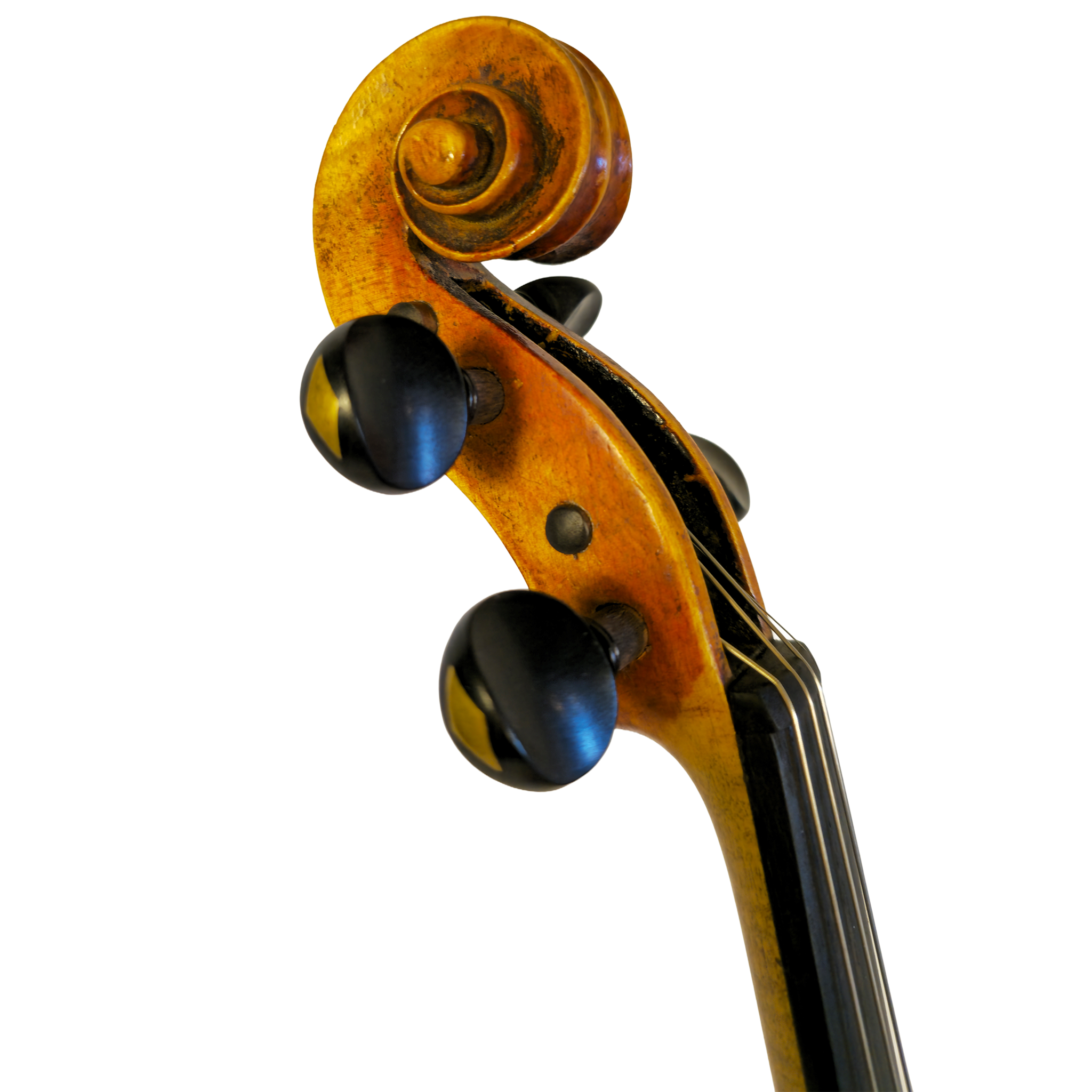 Charles_Jean-Baptiste_Collin-Mézin_Violin_Scroll_Side.png