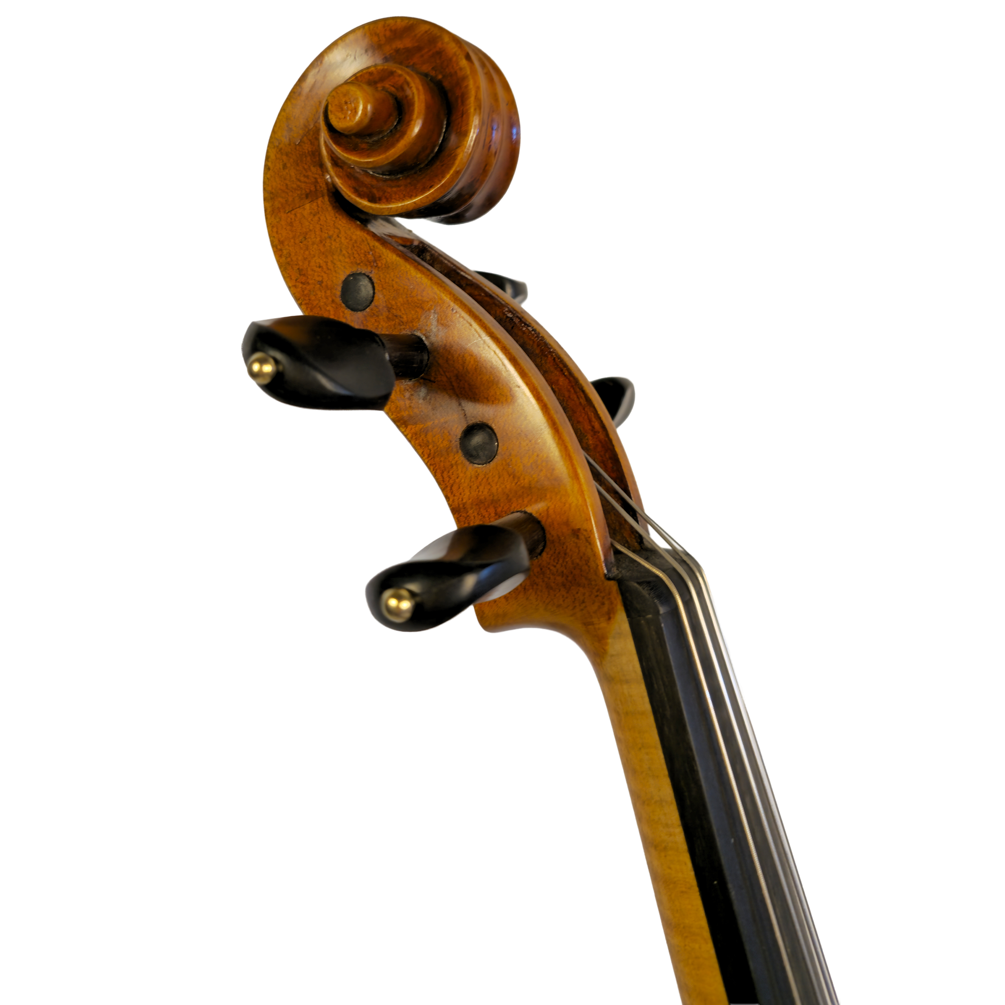 Eastman_830_Violin_Scroll_Profile.png