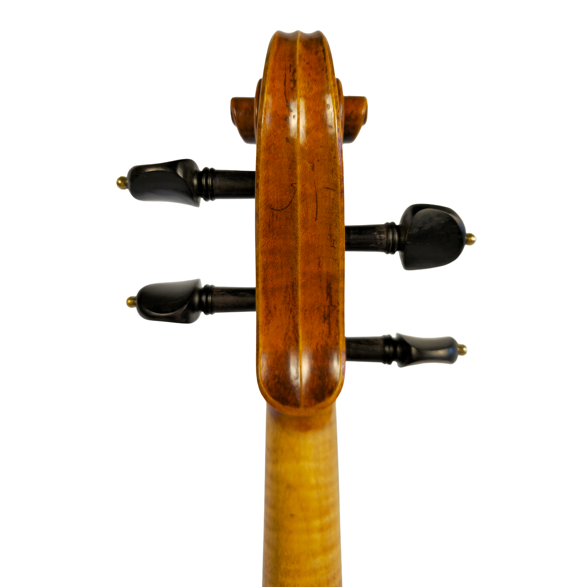 Eastman_830_Violin_Scroll_Back.png