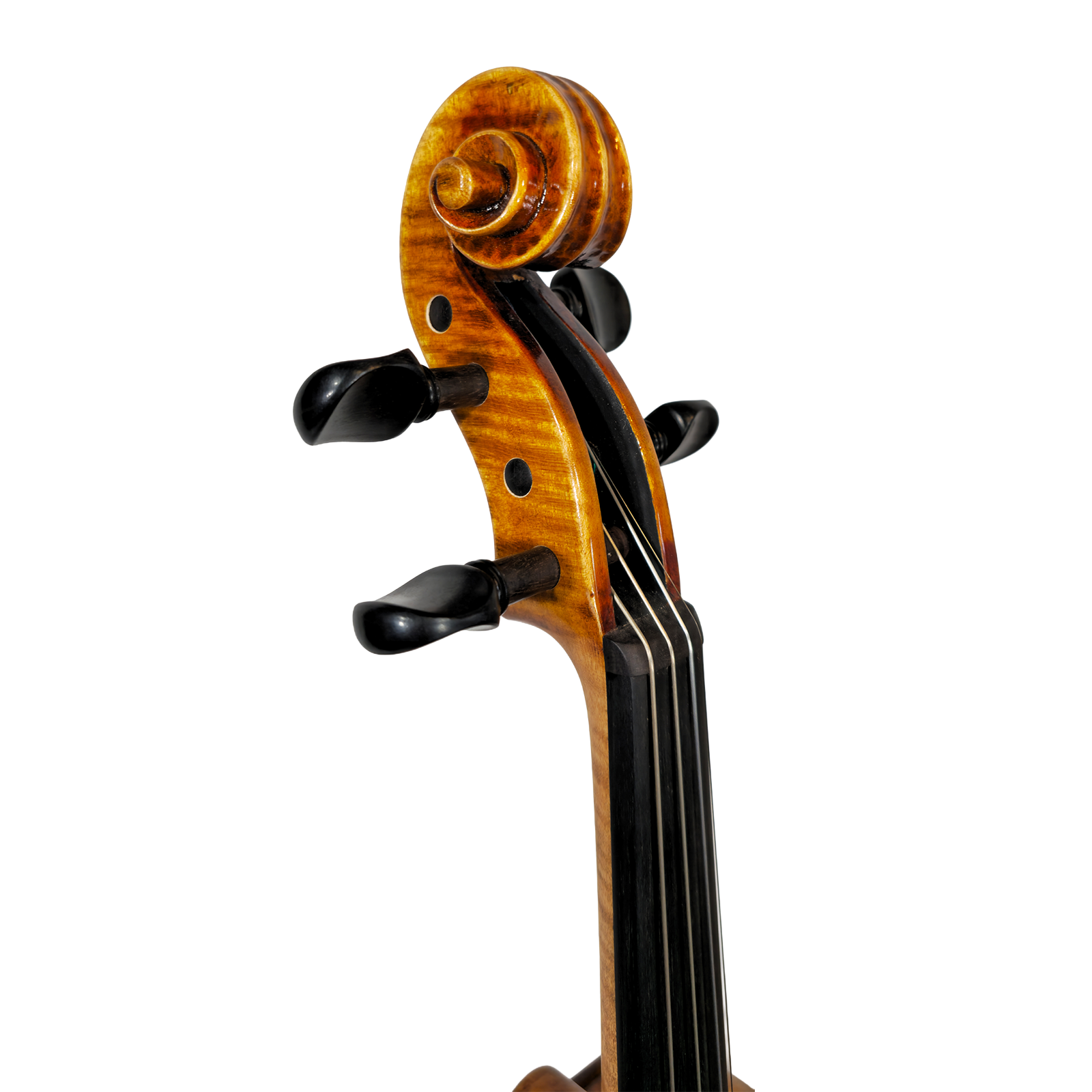 Jarek_Koscielny_Violin_Scroll_Side.png