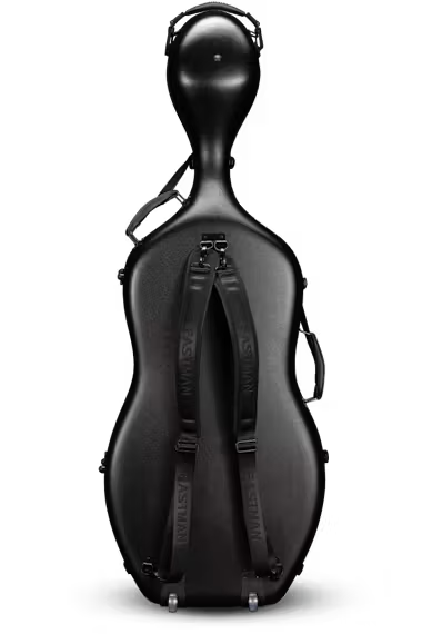 Eastman_CACL13_ABS_Pebble_Finish_Cello_Case_Back.png