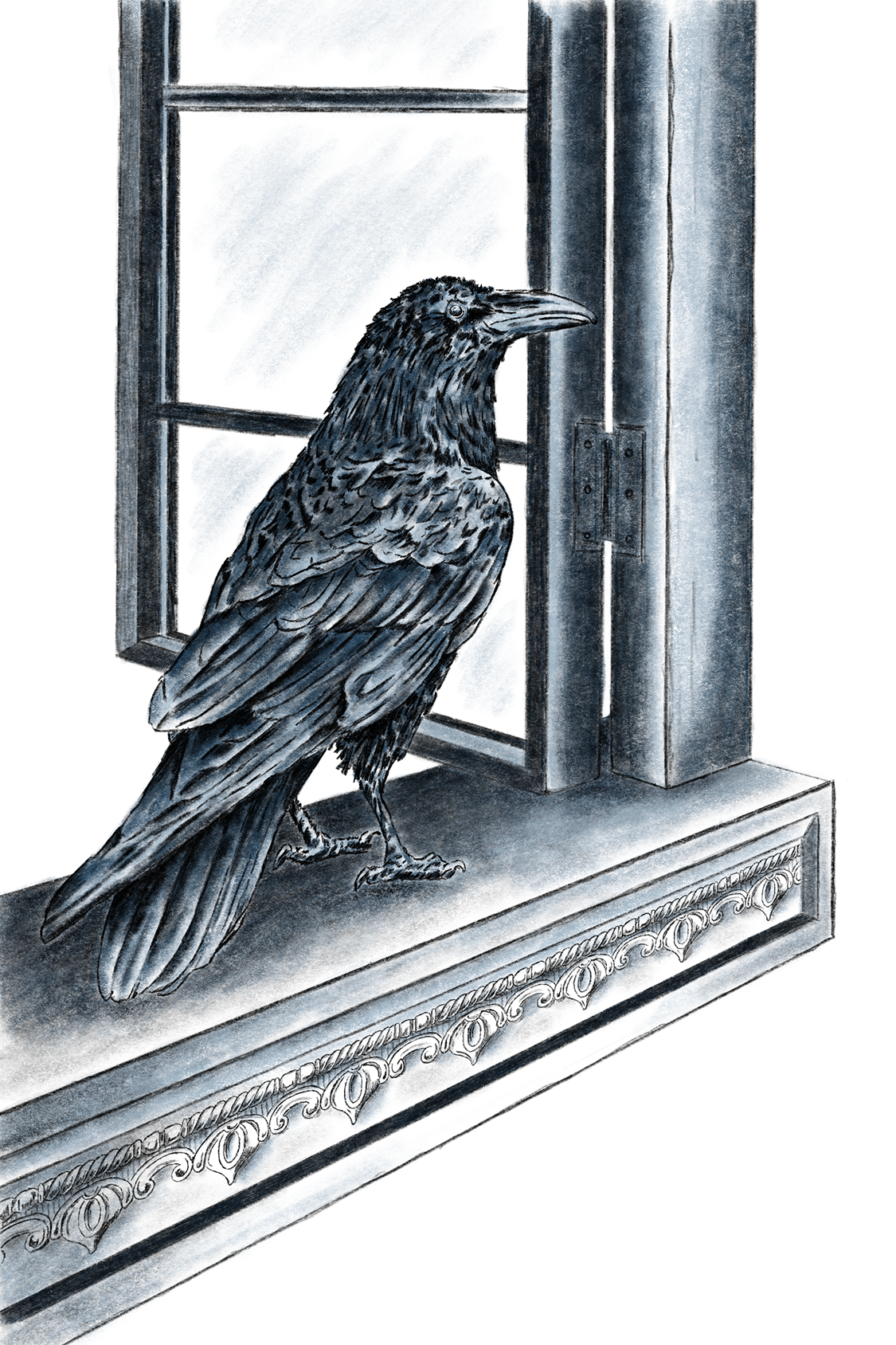 Raven-Windowsill.png