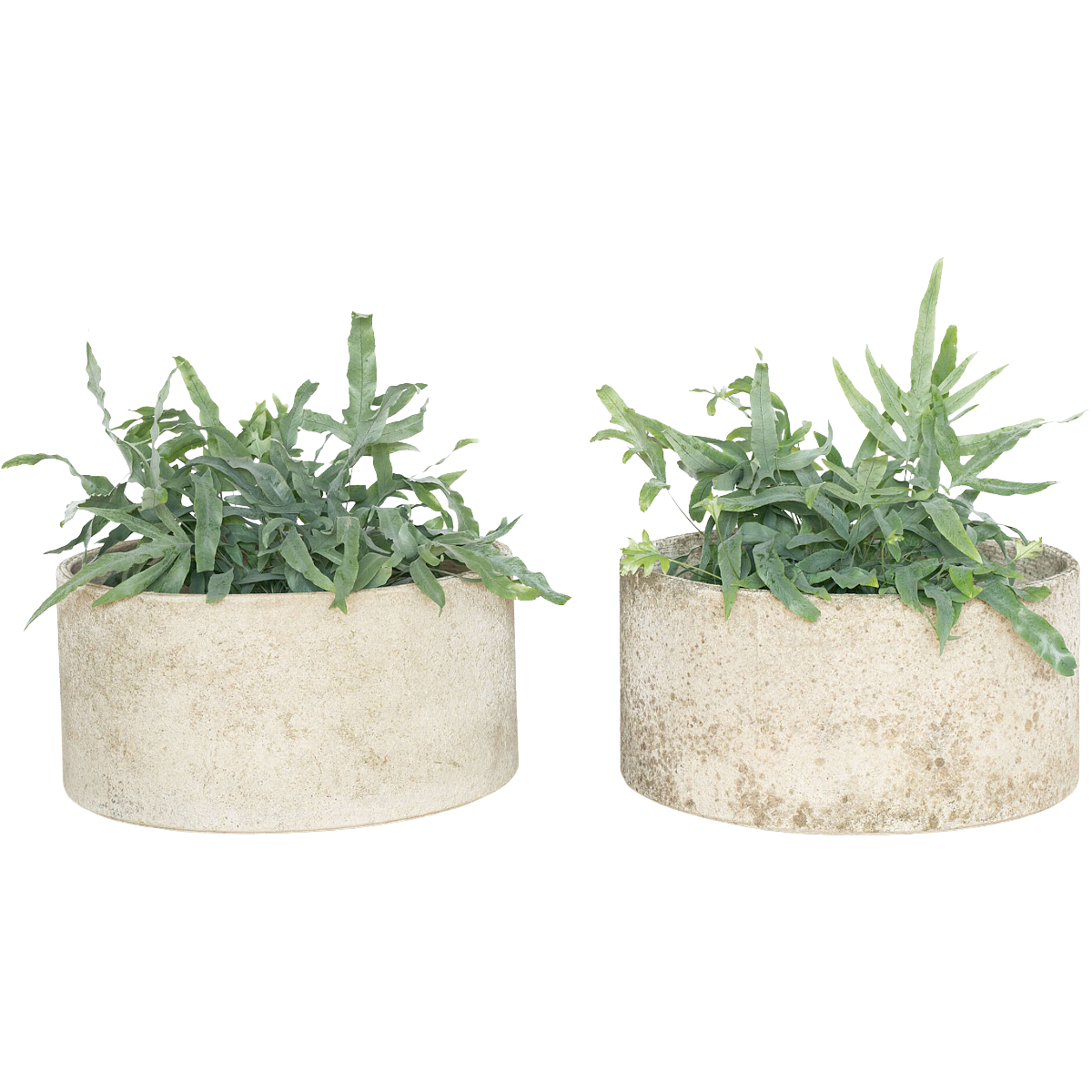 Willy Guhl Round Planter | Pair