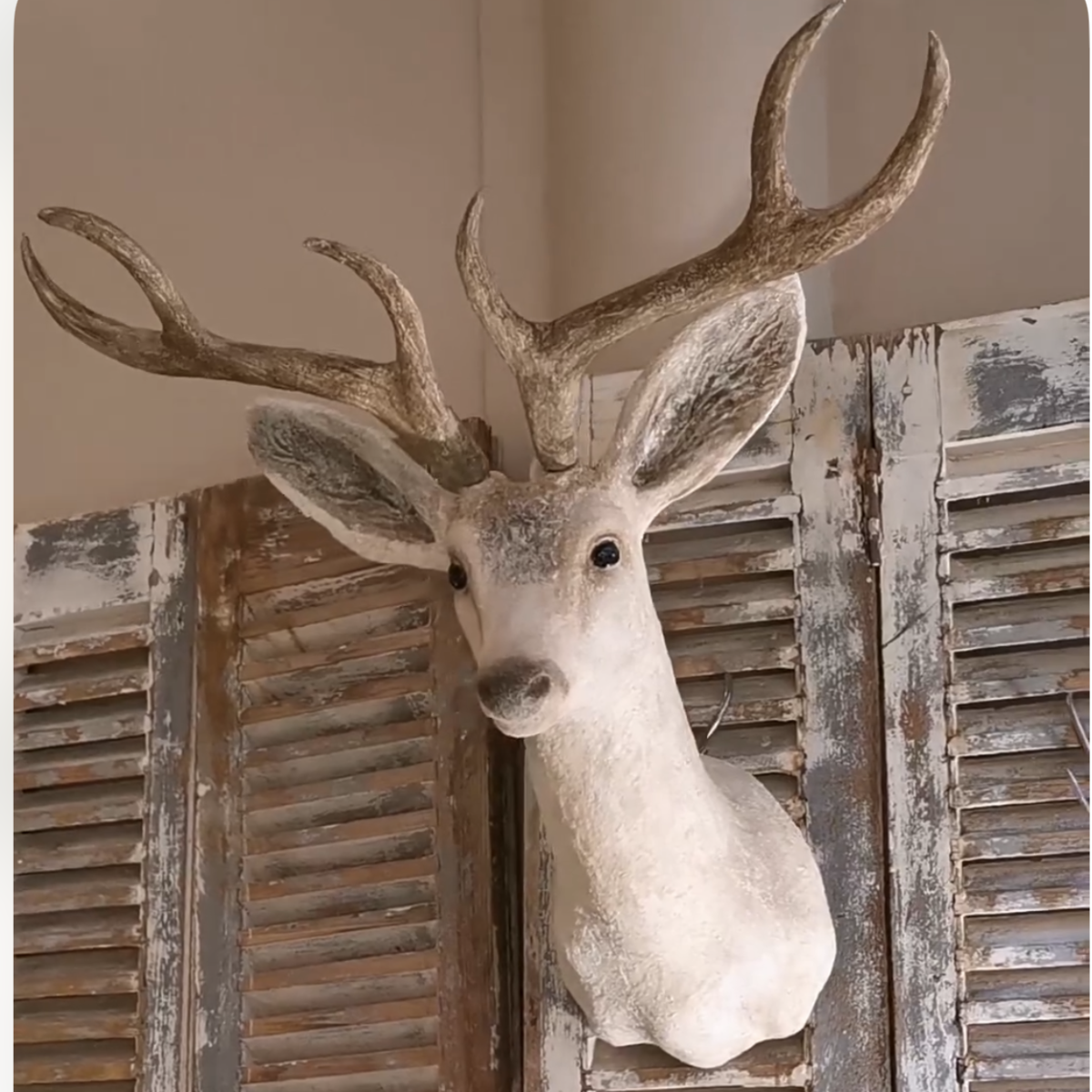 Hand Made Papier Mâché Sculpture | Deer Head Trophy Mount