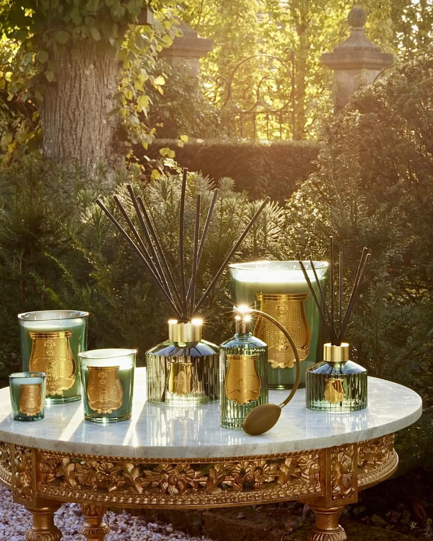 Spring is in the air! Our new @trudon Figuerie collection for Spring has arrived!

At the Palace of Versailles, the passion of Louis XIV for figs led his celebrated horticulturist, Jean-Baptiste de La Quintinie, to create a remarkable fig grove withi