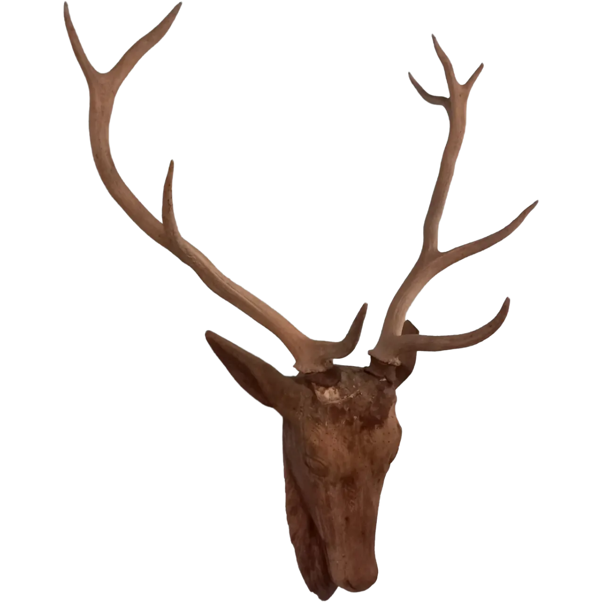 Antique Hand Carved Deer Head Trophy Mount with Natural Antlers