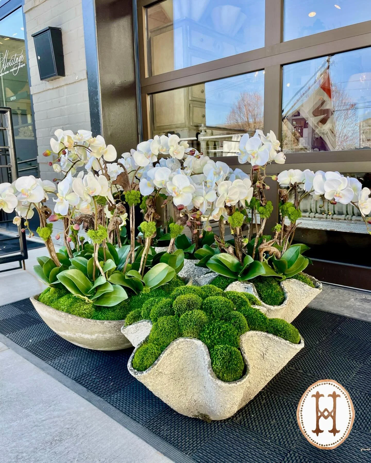 All the orchids in our new-arrival Willy Guhl and vintage containers have us ready for Spring! No watering required. Just admiration and instant gratification! Swipe for a sampling. 

Discover our exciting collection of one-of-a-kind, hand-selected C