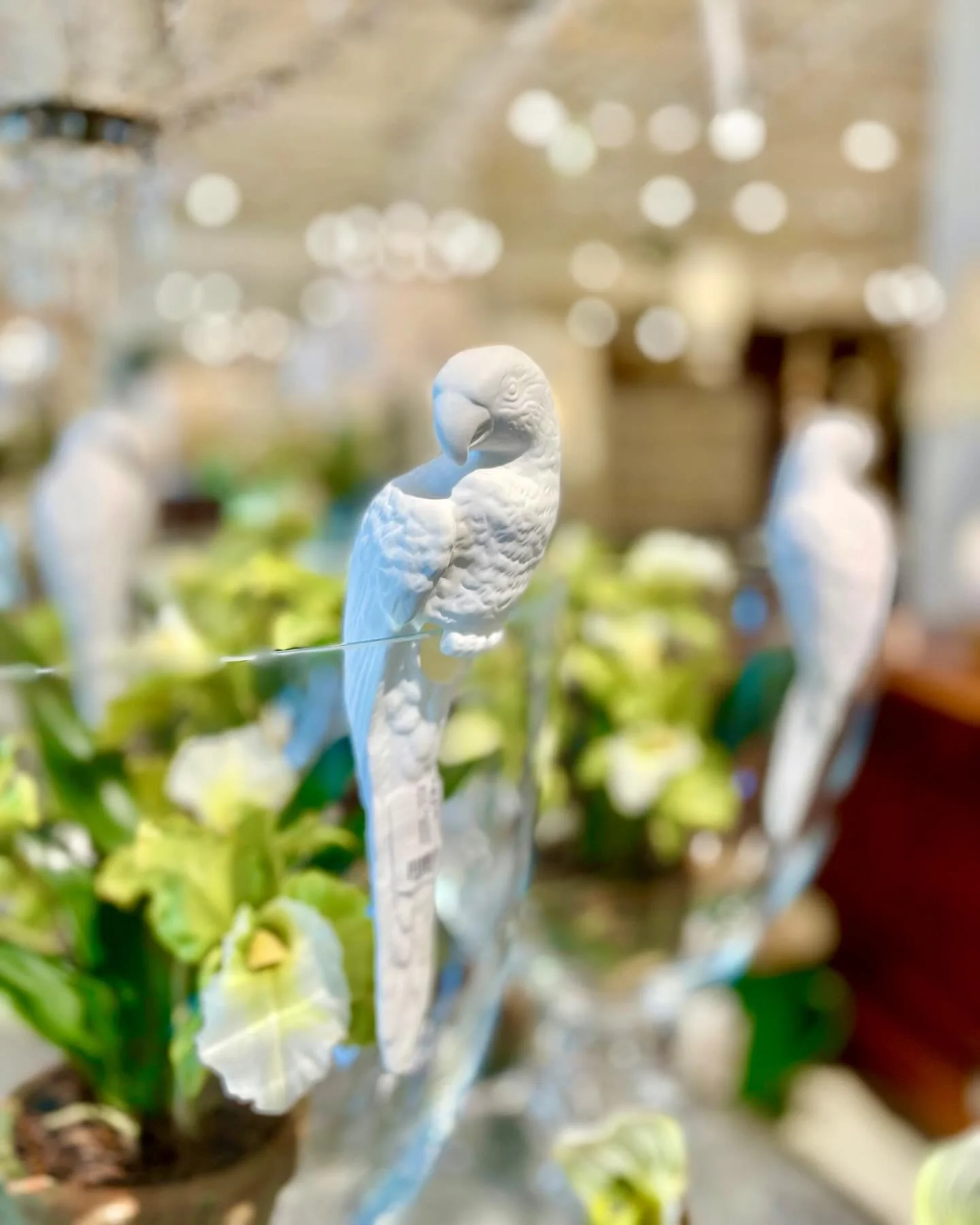 The Prettiest Porcelain Perched Parrots! In Shoppe now! Discover our exciting collection of one-of-a-kind, hand-selected Curated Decor and Original Art. For more information:
&bull;Call: 704-496-9612
&bull;Email: sales@heritagemarkdesign.com
&bull;We