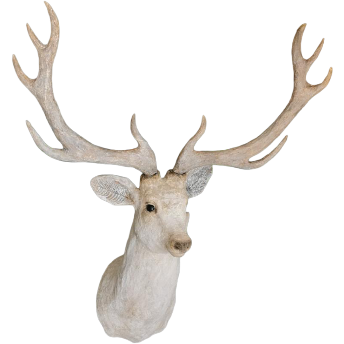 b.png