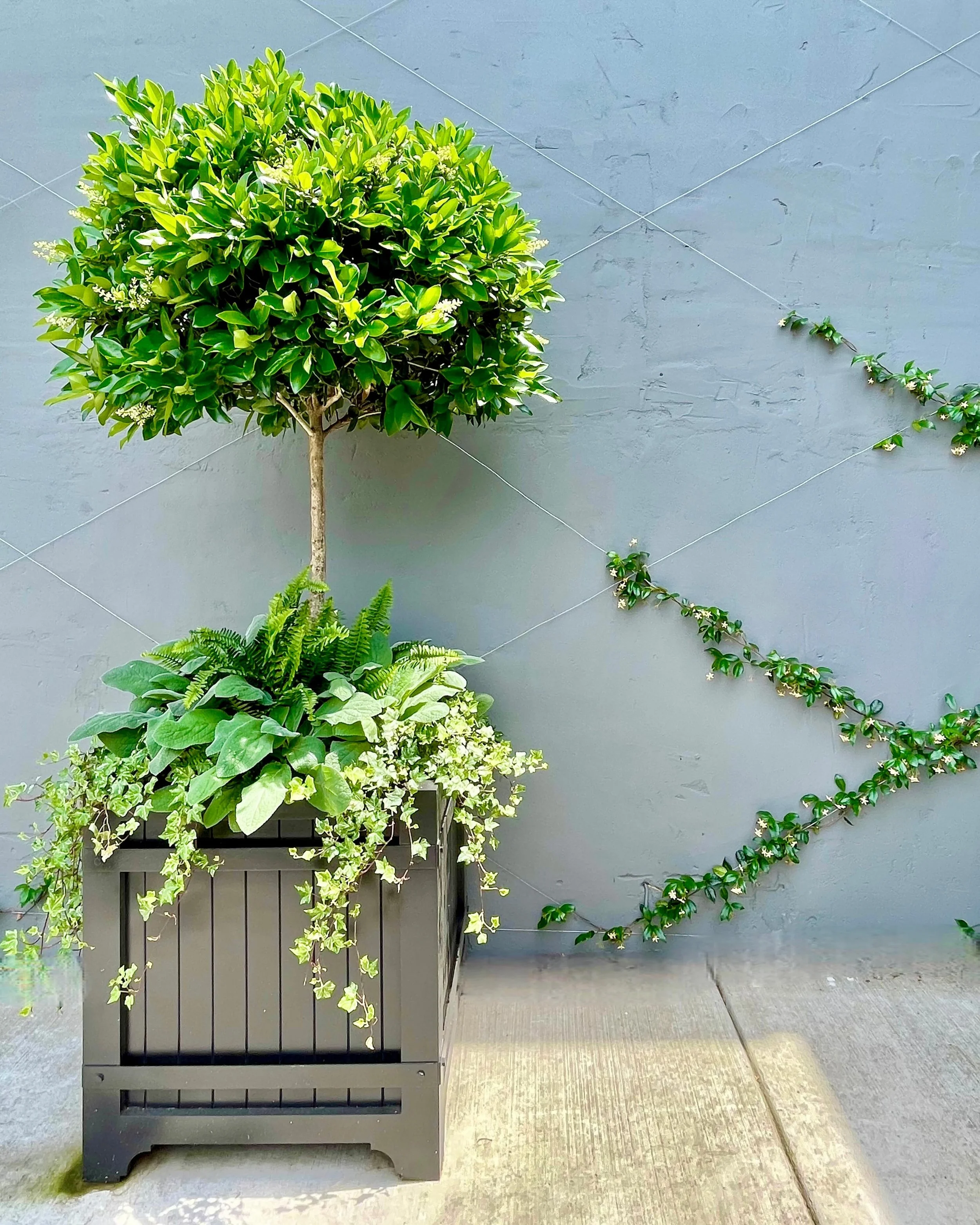 We love seeing the handiwork of @theitinerantgardener grow more and more beautiful by the day! @eastovercollection planters front and center!  #heritageclt #curateddecor #charlotteinteriordesign 
#italianantiques #frenchantiques
