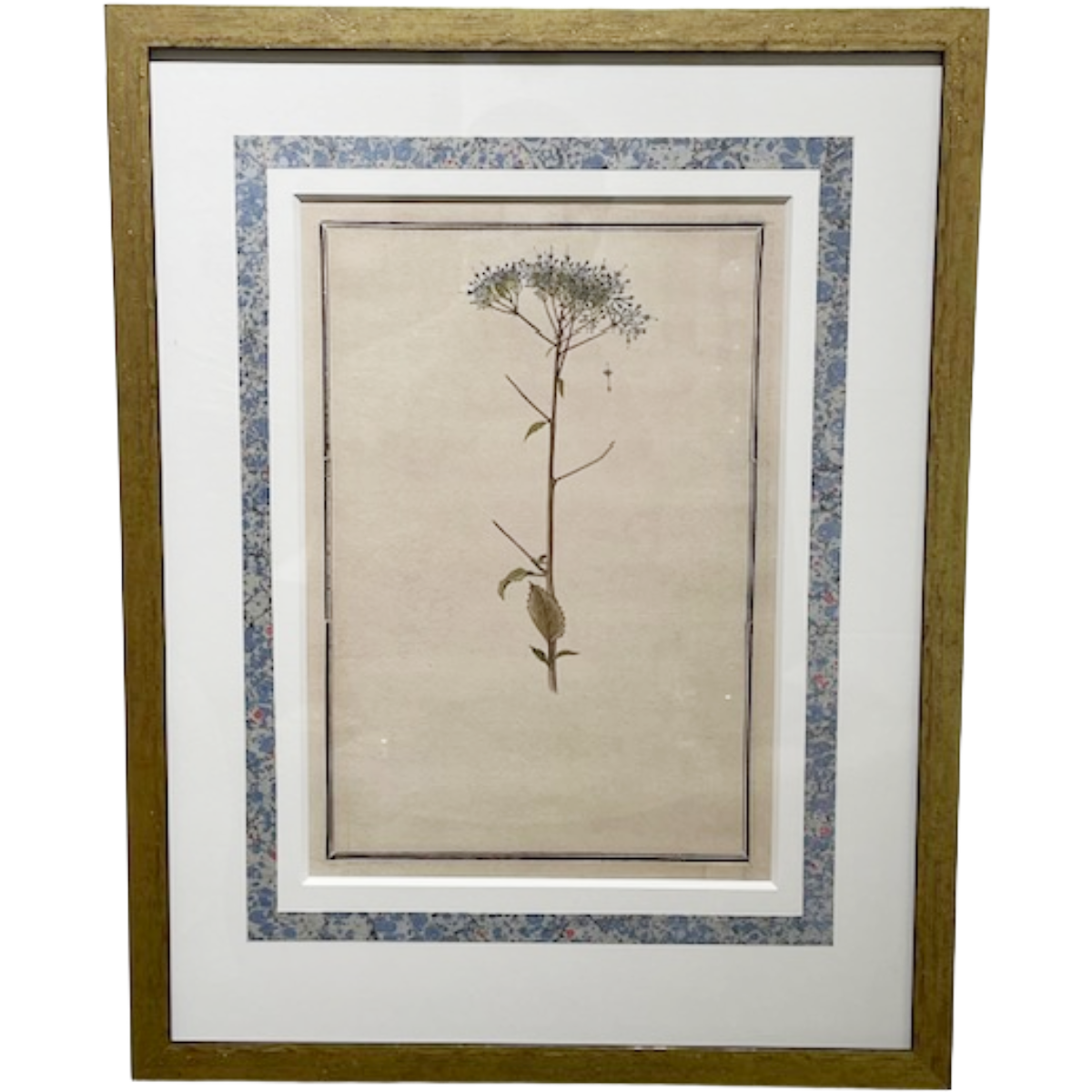Botanical #1 (Single)