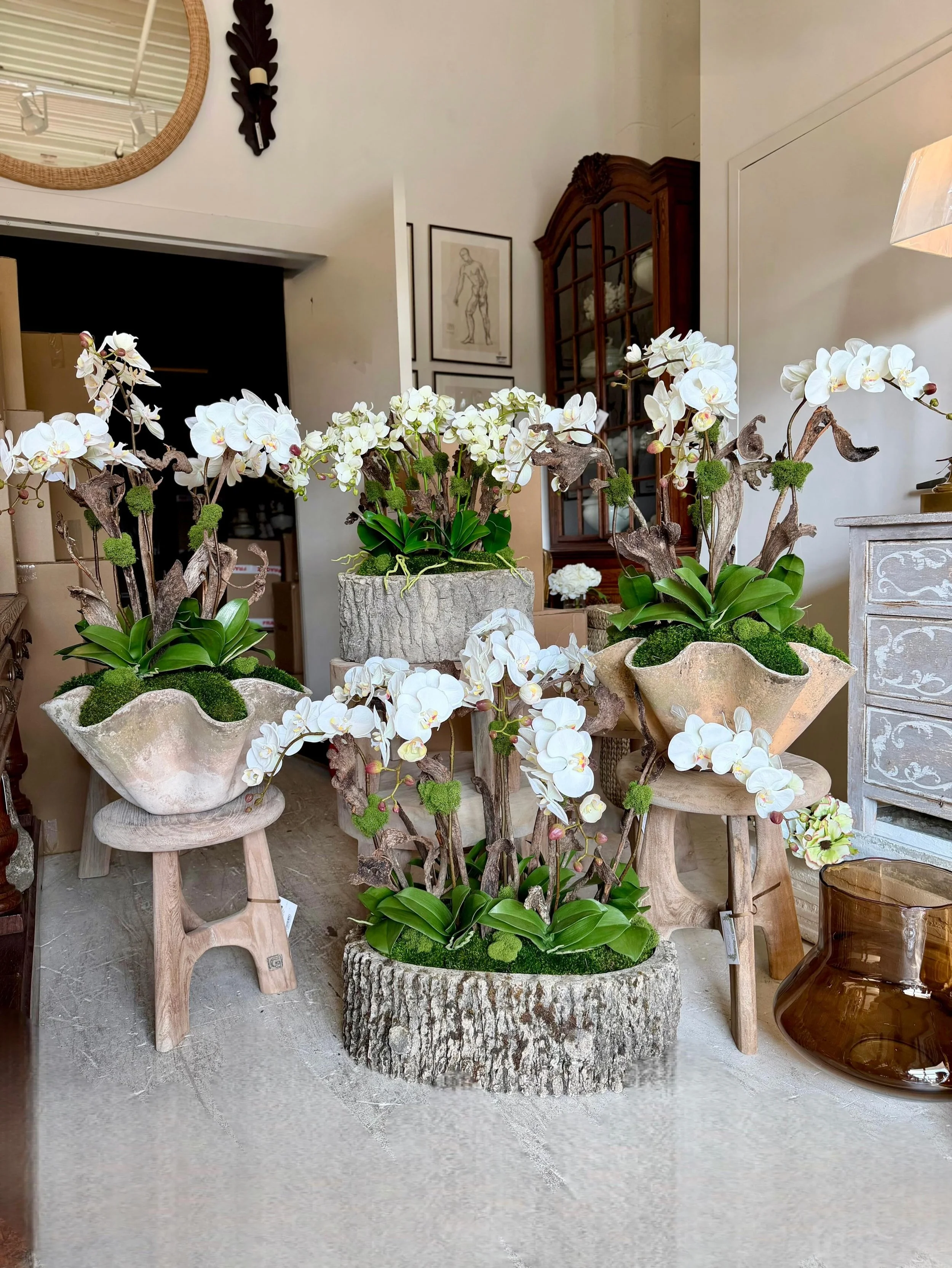 Another delivery of beautiful faux orchids in our beautiful faux bois antique planters and mid century modern Willy Guhl biomorphic containers. Discover our exciting collection of one-of-a-kind, hand-selected Curated Decor and Original Art. For more 