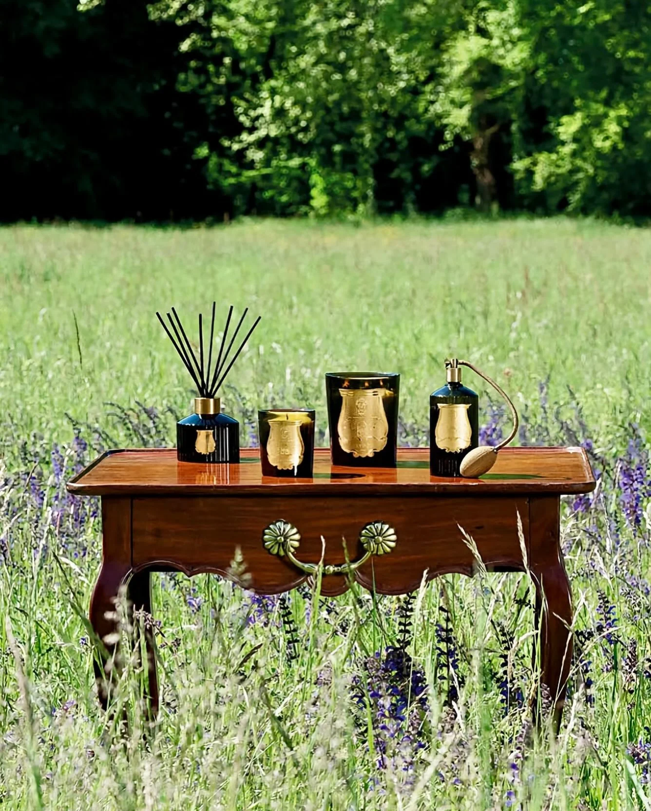 Truly the best. Simply irresistible. @trudon candles, diffusers, room atomizers, and hand soap. The cr&egrave;me de la cr&egrave;me since 1643. All in stock. All ready to enhance your home! Discover all our exciting collections of one-of-a-kind, hand