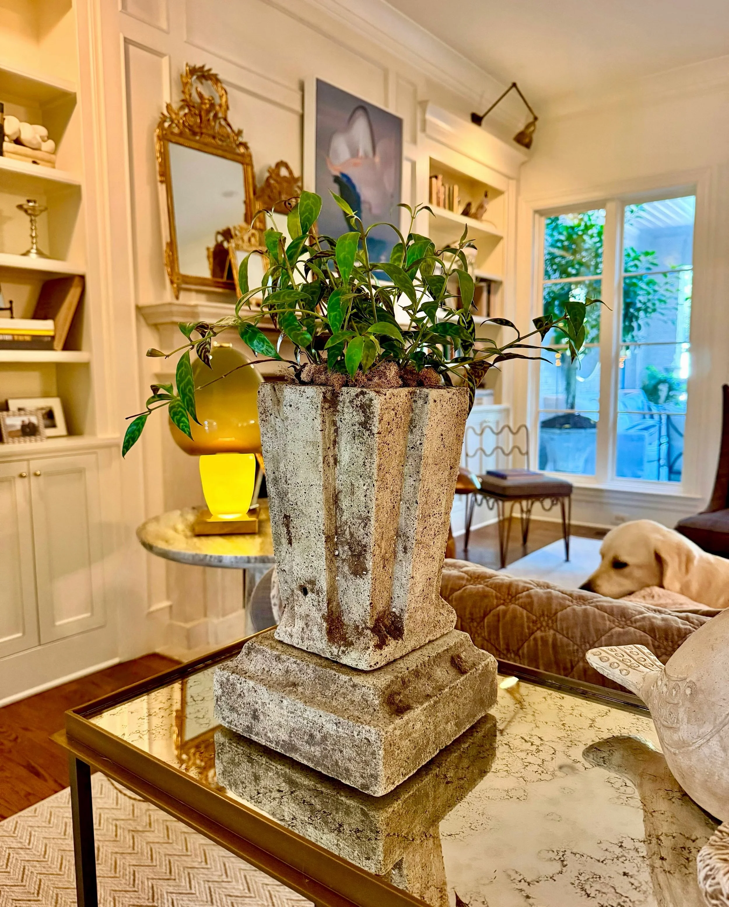New Arrivals in their New Home! Found in Paris, these Art Deco concrete planters are so chic planted and placed inside. Discover our extensive collection of one-of-a-kind, hand-selected European Antiques and Curated Decor. Find more details and pics 