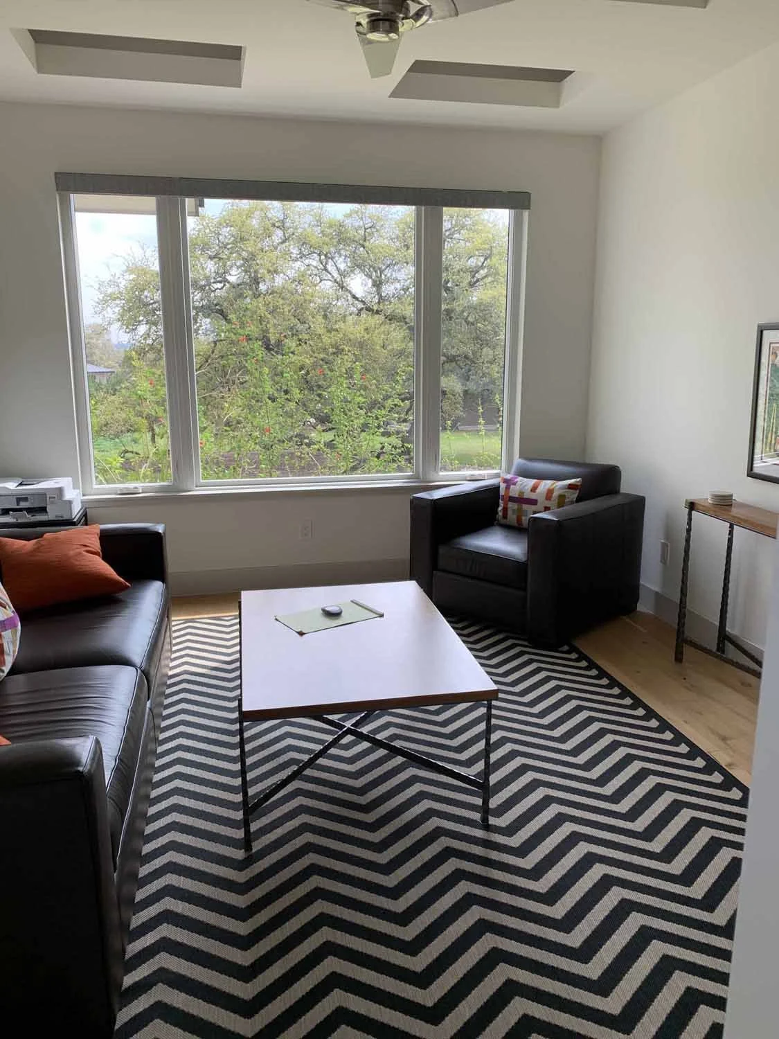 Interior Designer Austin Texas Belvedere Before.04.jpg