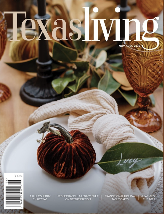  Allandale Modern Organic Feature  December 2022