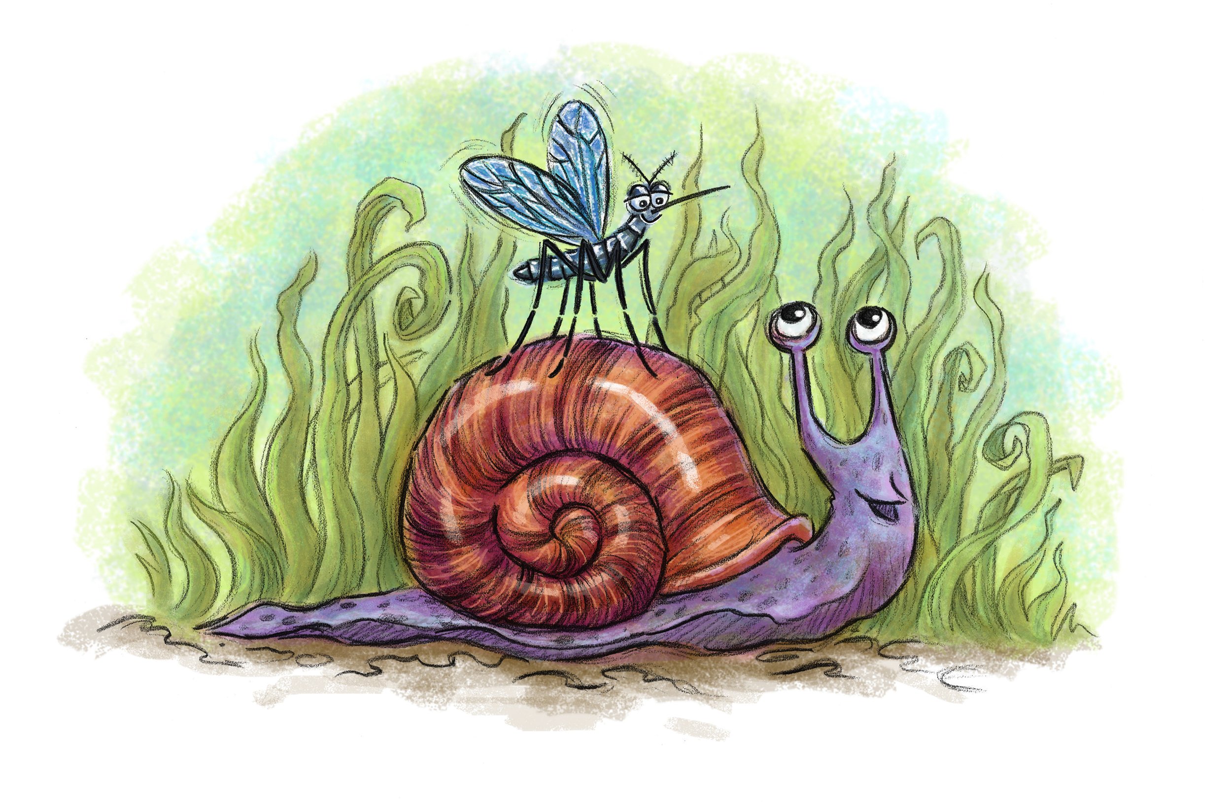 Snail and friend.jpg