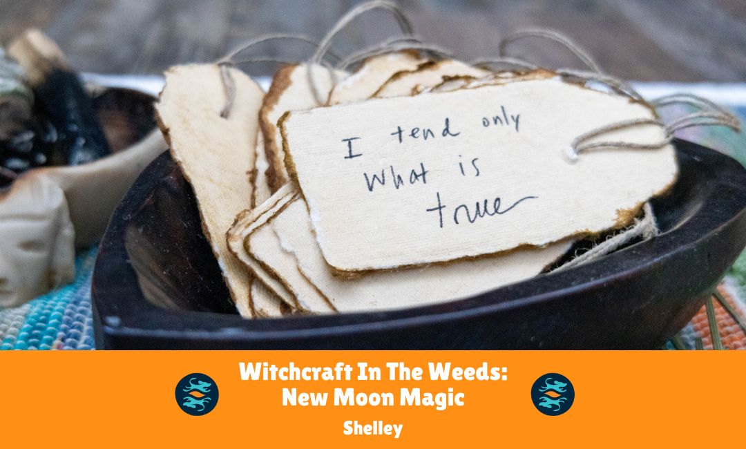 Witchcraft In The Weeds: New Moon Magic with Shelley