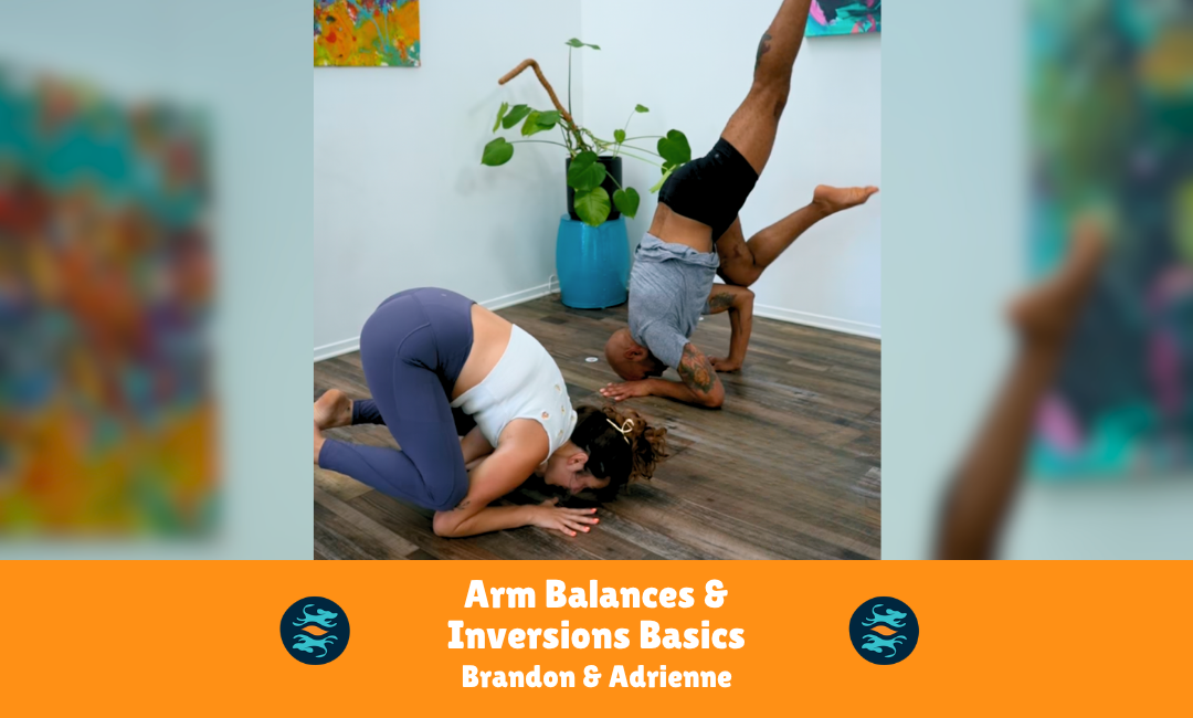 Arm Balances + Inversion Basics
