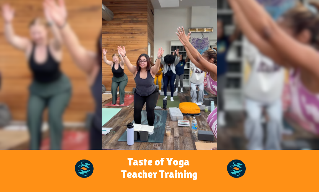 Taste of Teacher Training: A Day Inside the 200-Hour