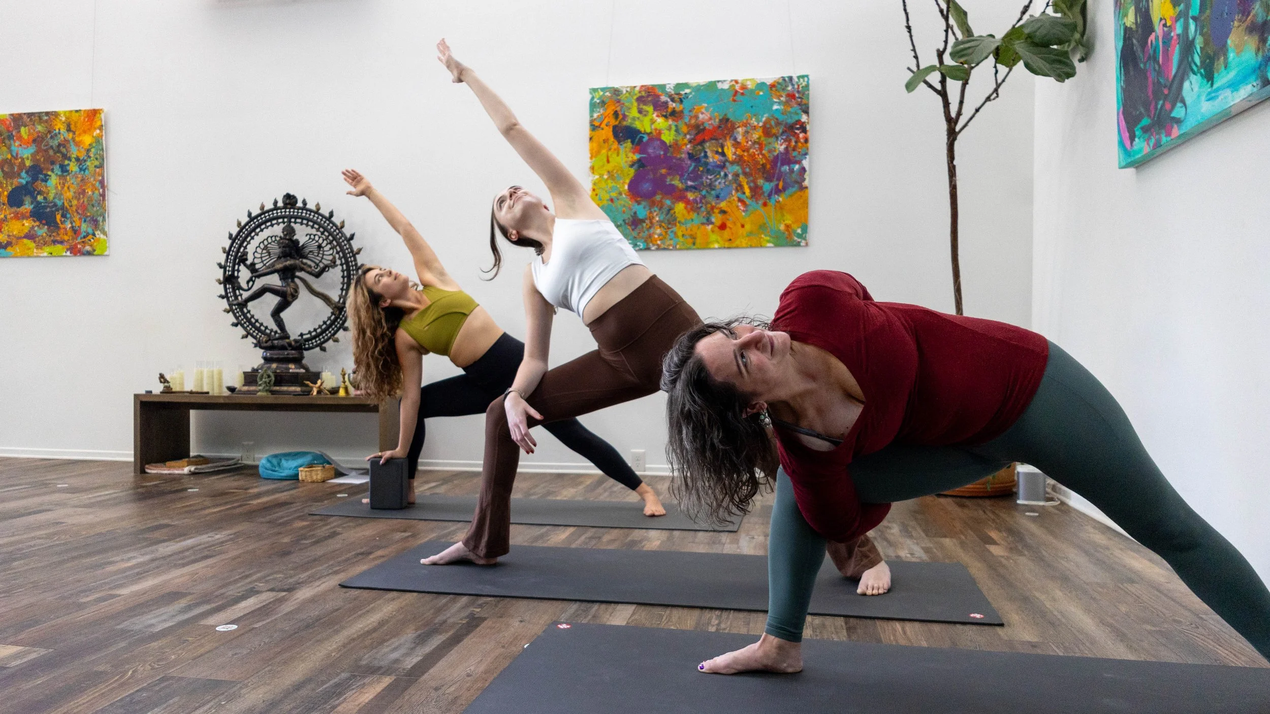 Dancing Dogs Yoga