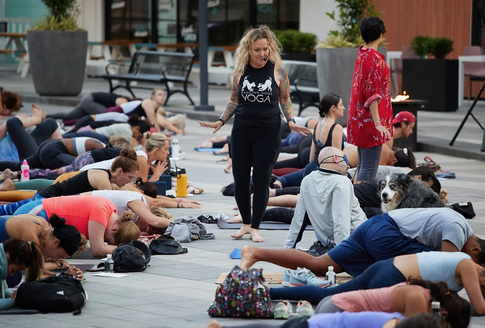 Dancing Dog Yoga Yoga Classes Atlanta, GA