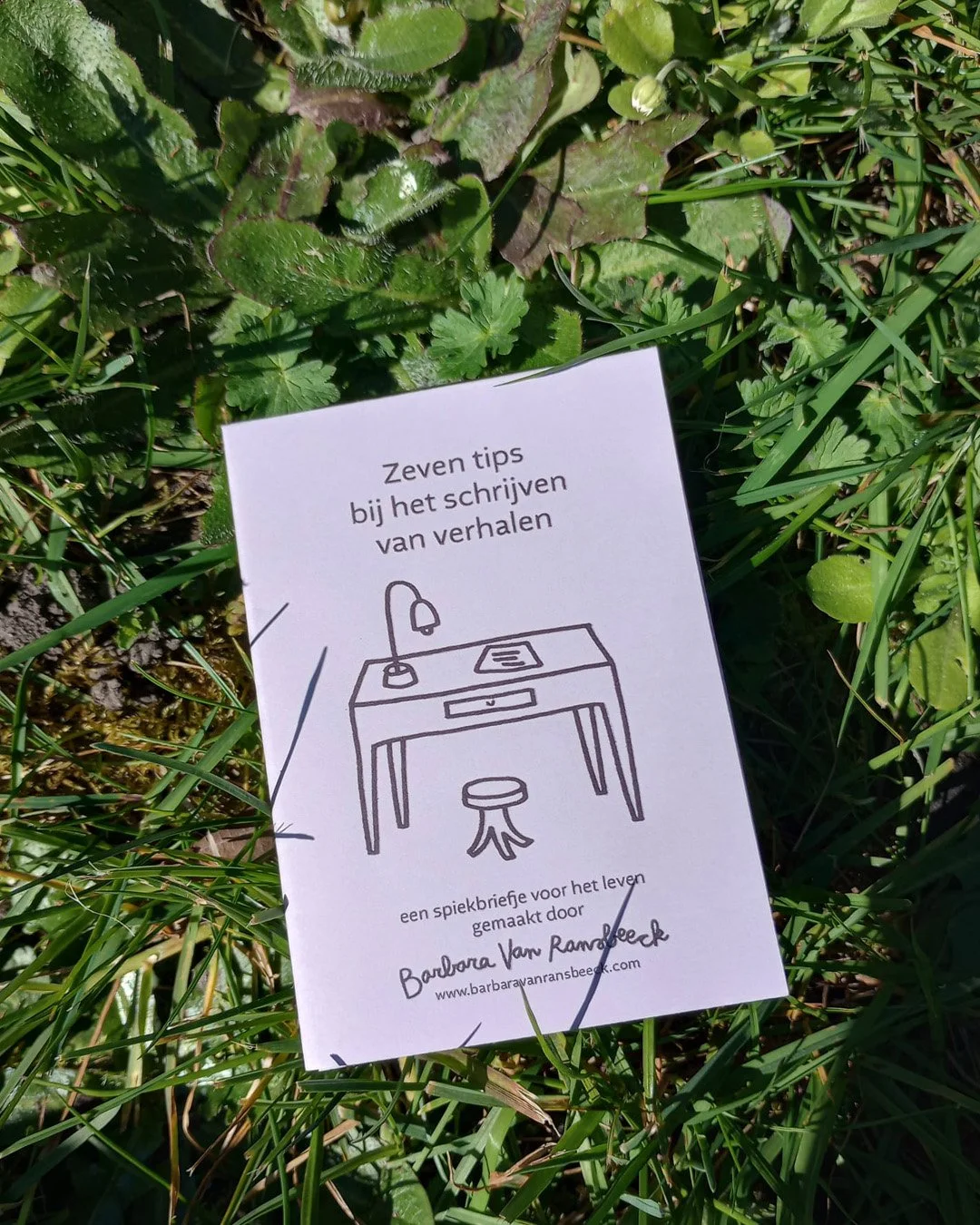 F Schrijftips.jpg
