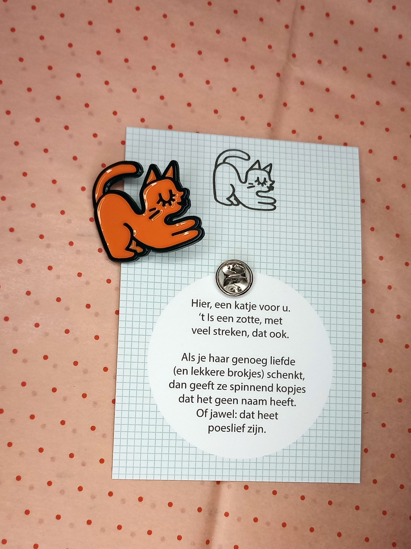 kat oranje.jpg