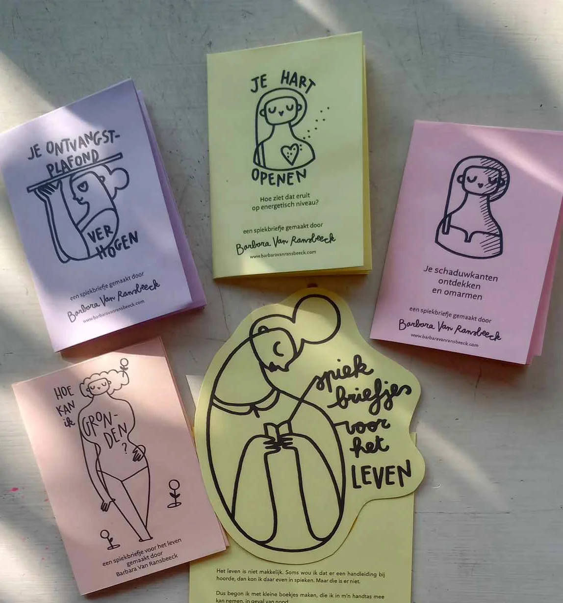 Foto spiekbriefjes.jpeg