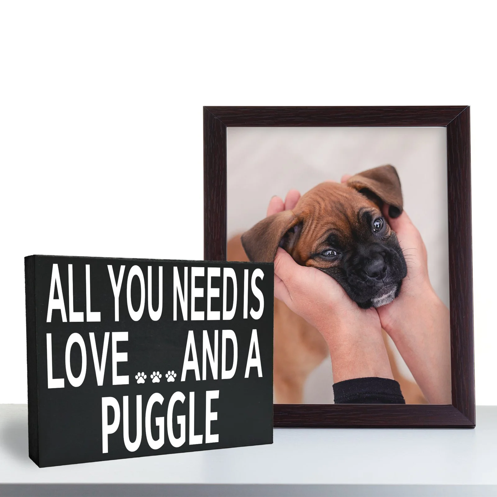 _Lifestyle-2_15-Puggle_Nov-18_ER.jpg