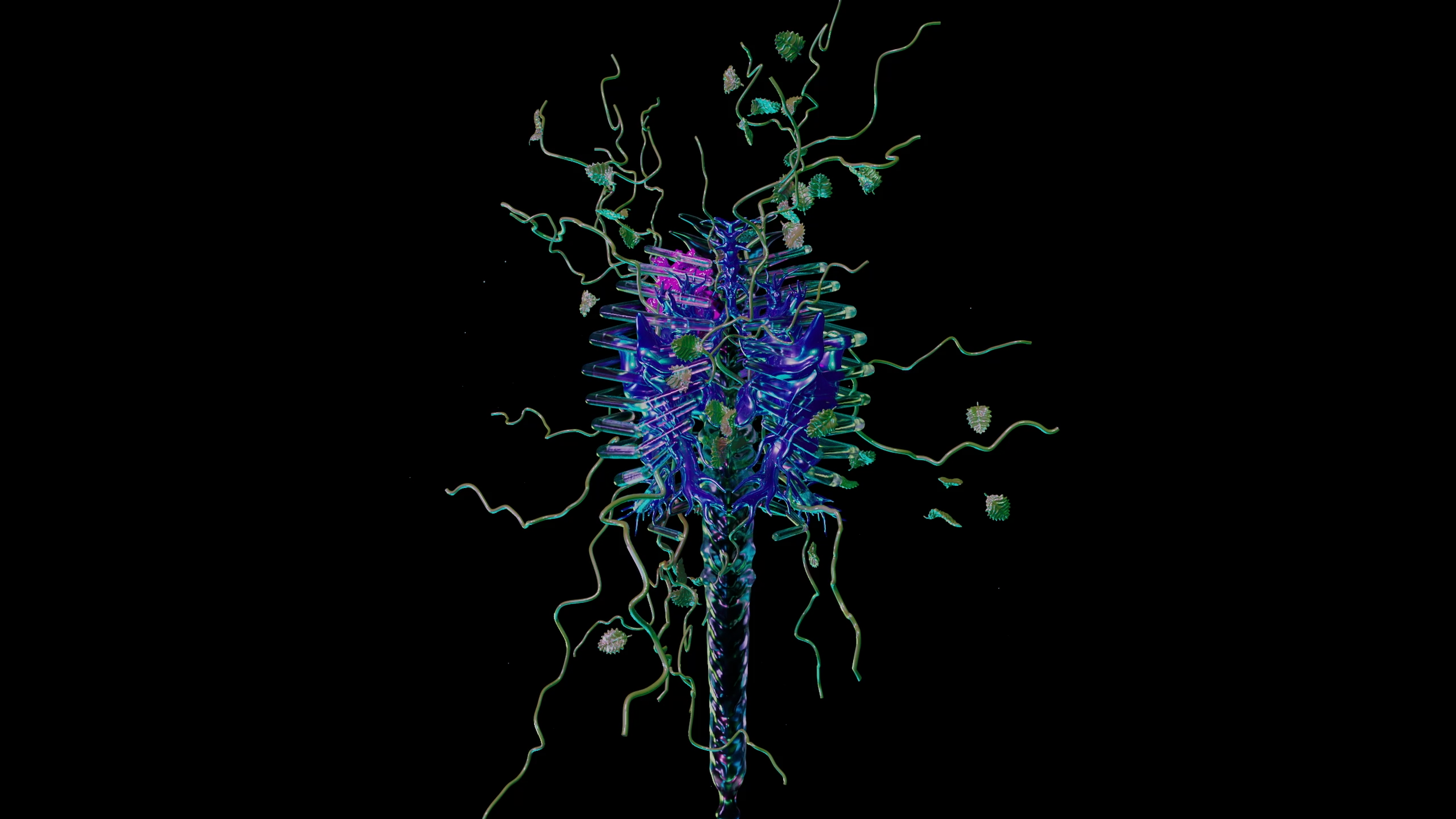 Image1.png