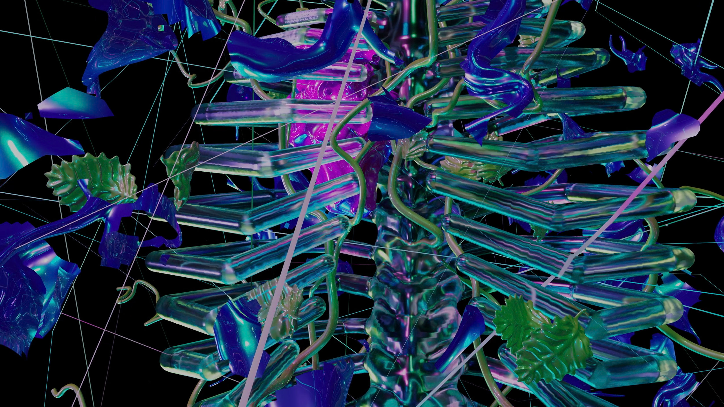 Image5.png