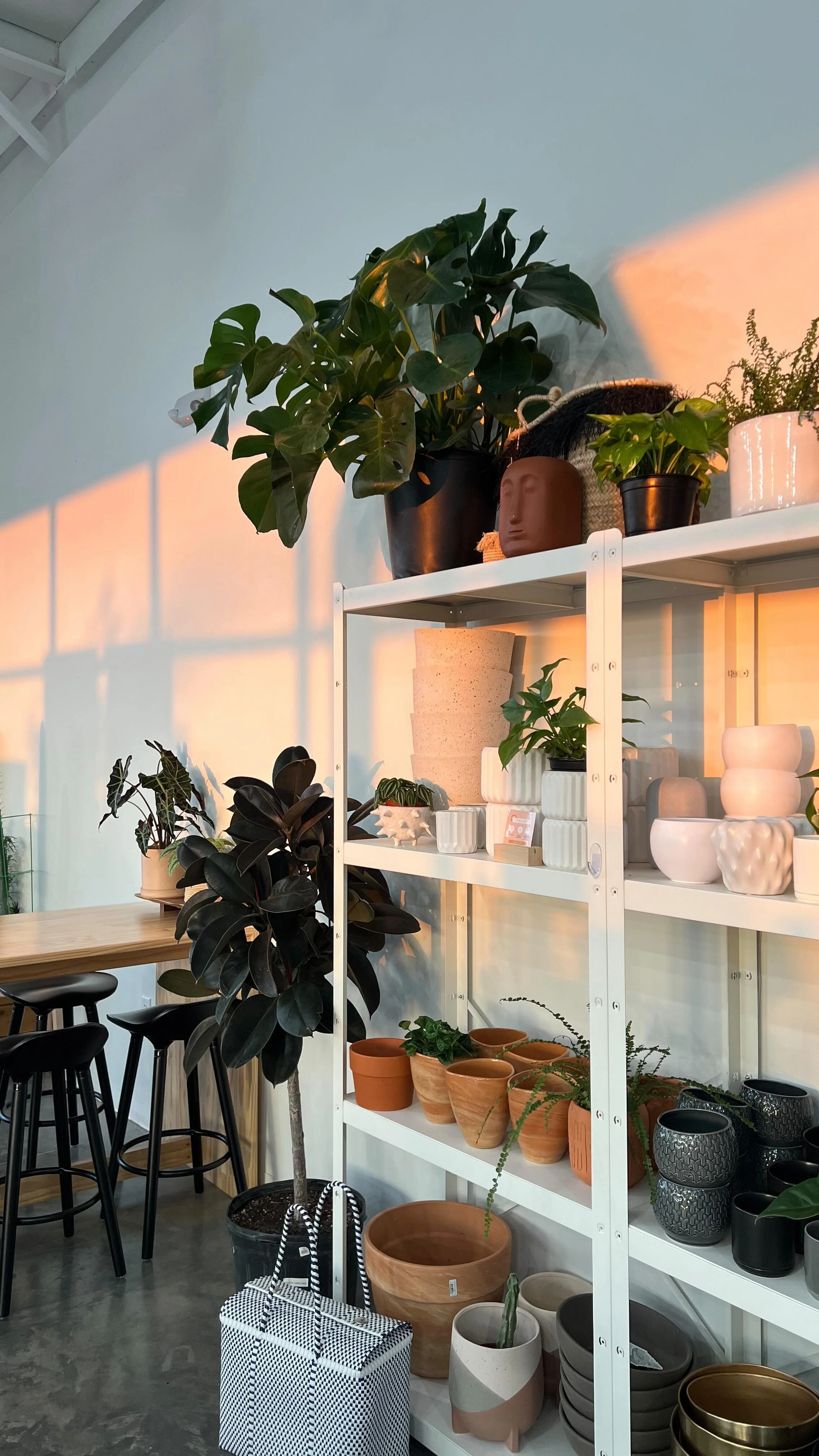 Urban Grounds Coffee + Plant Lab