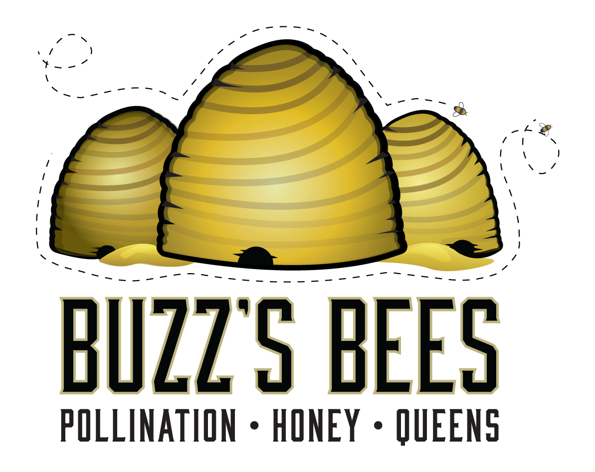 20 LB 100% Pure Bee Wax, Bitterroot Buzz Bees