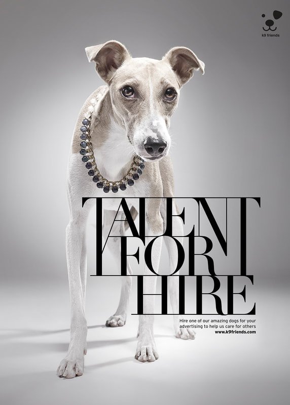 k9-talent-for-hire-hambug_orig.jpeg