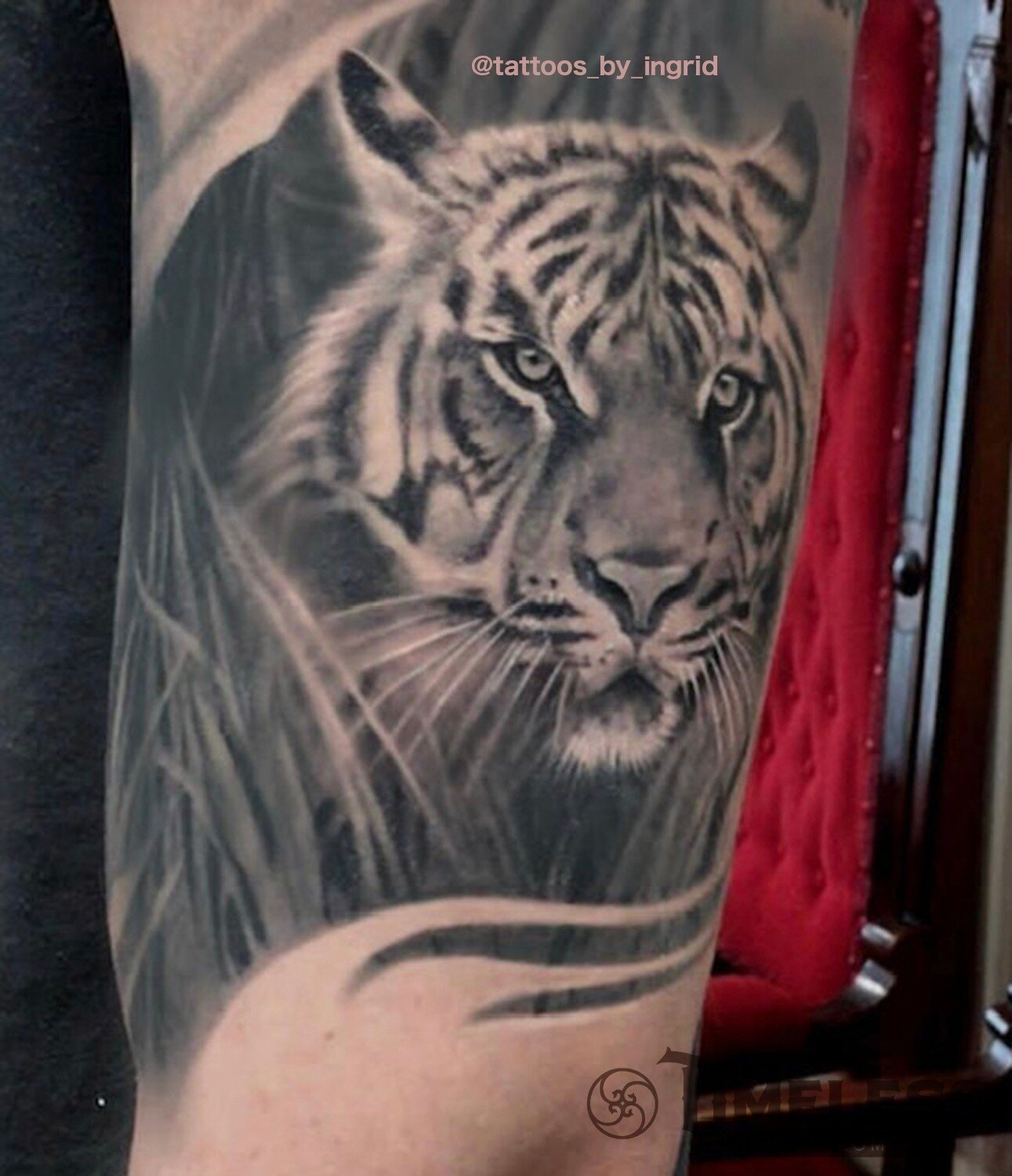 Tiger realism done by @tattoos_by_ingrid

#realismtattoo #torontotattoo #tigertattoo