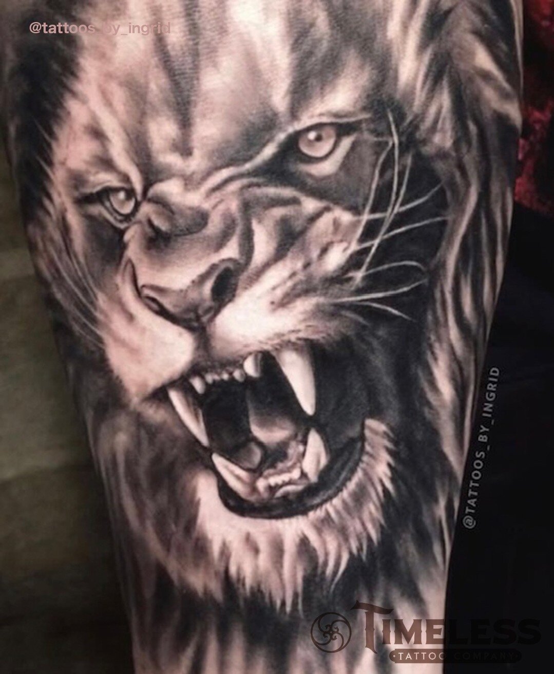 Fierce realism piece done by me🖤

 #liontattoo #fyp #realismtattoo