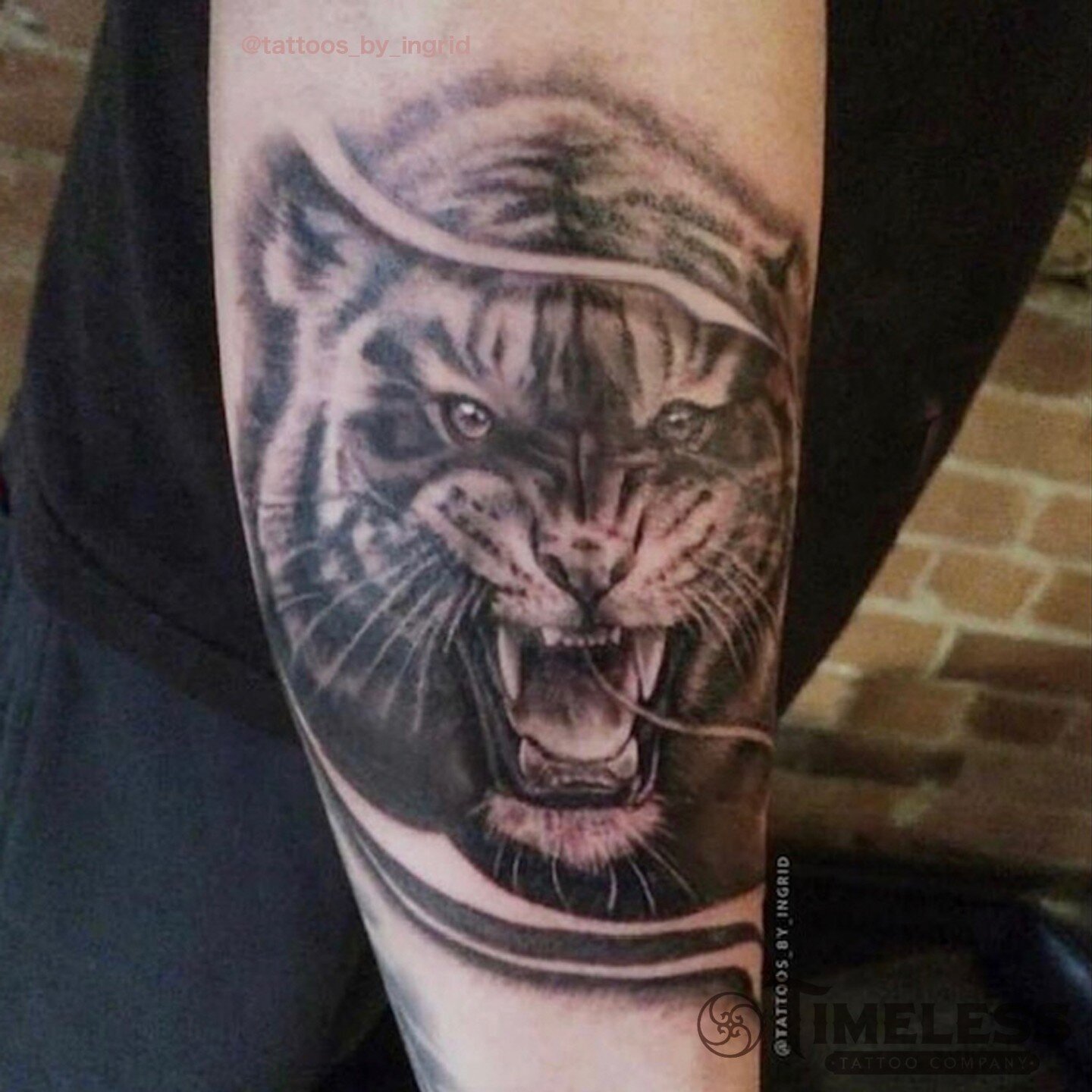 Another lion tattoo 🤍

#liontattoo #realismtattoo #fyp