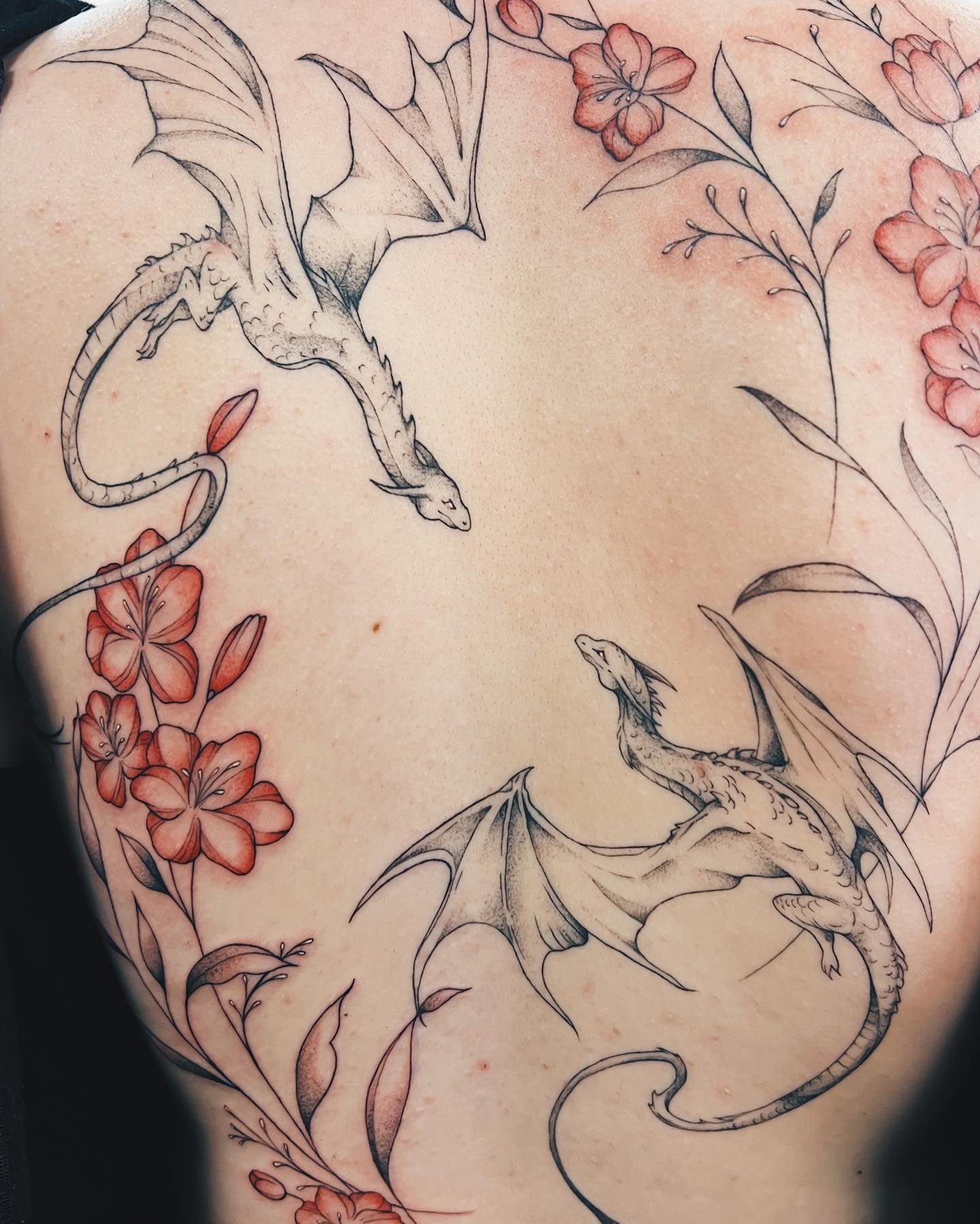 Healed dragons and fresh florals for @asia.chalmers 💗
.
.
.
@timeless_tattoo_company 
#tattoo #tattooideas #tattoos #tattooart #tattooartist #girlswithtattoos #ink #inked #dotwork #dotworktattoo #stippling #blackandgreytattoo #stippletattoo #art #ar
