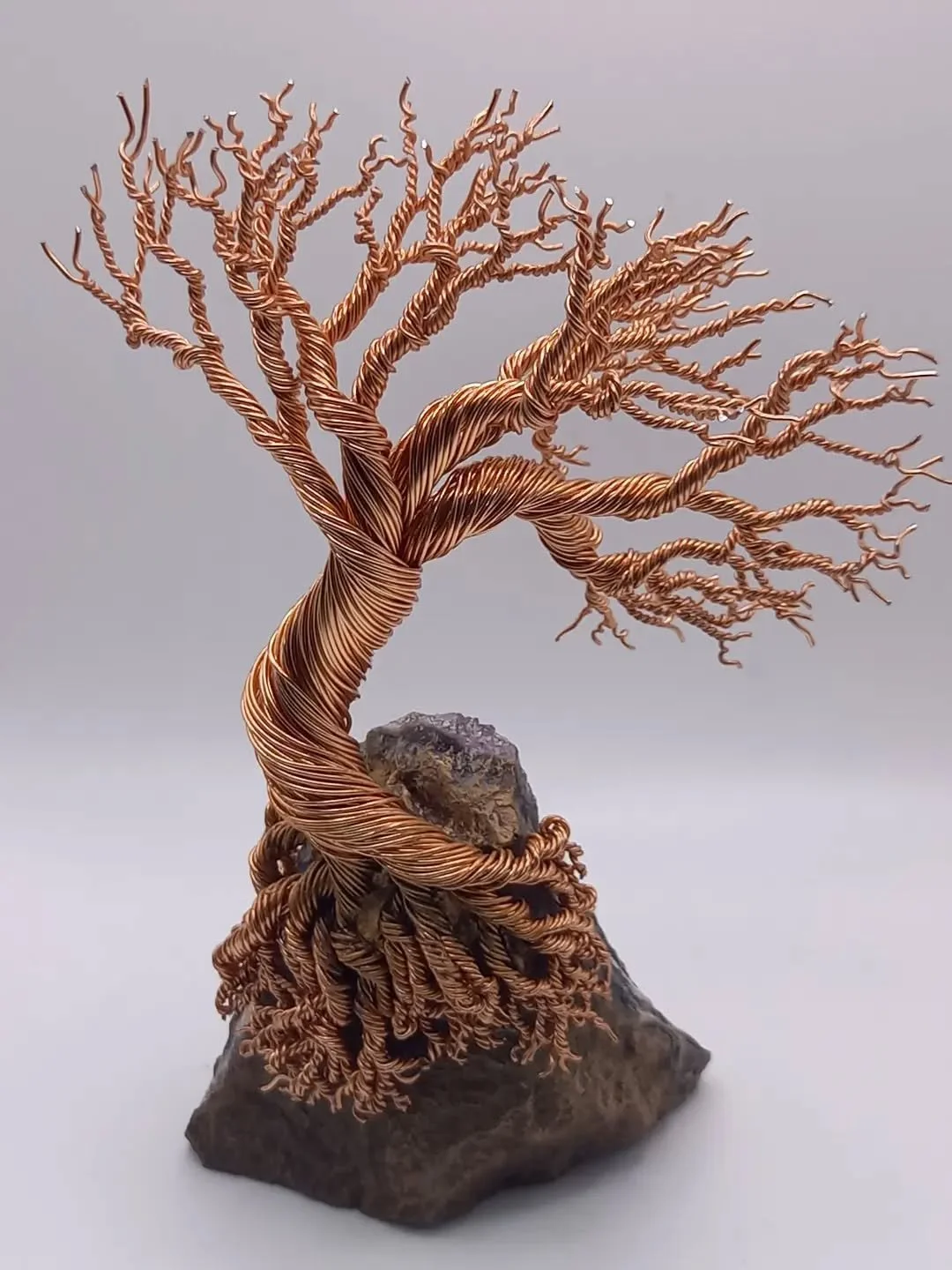 Tree roots