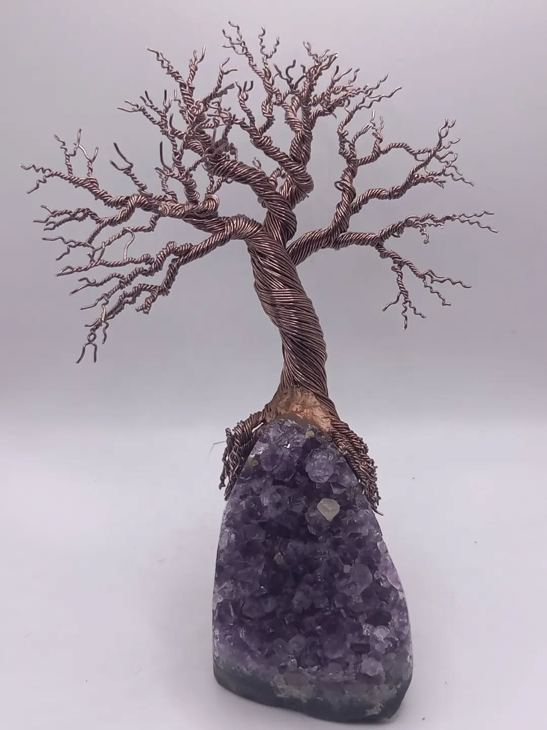 Brazilian amethyst tree