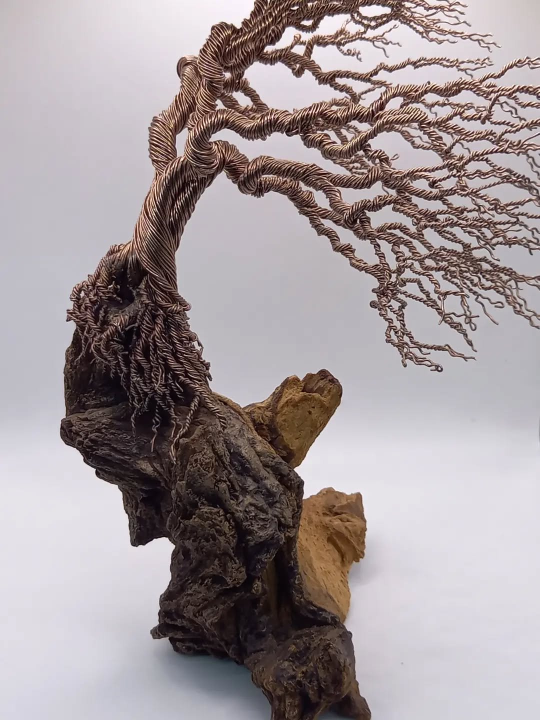Bronze windswept tree