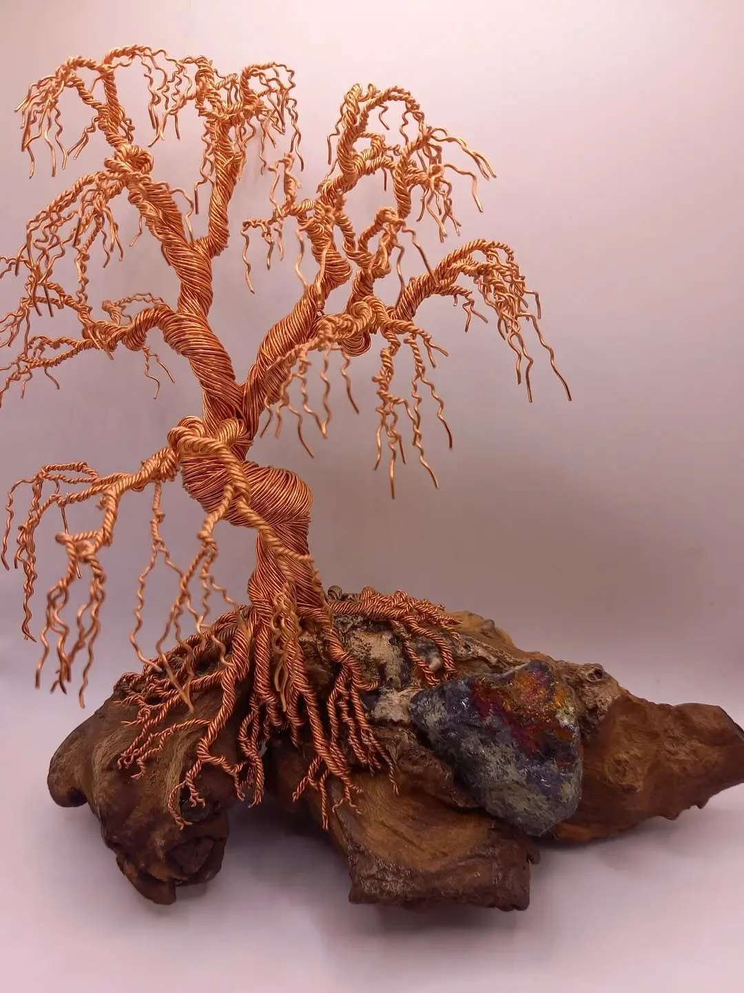 Copper willow tree
